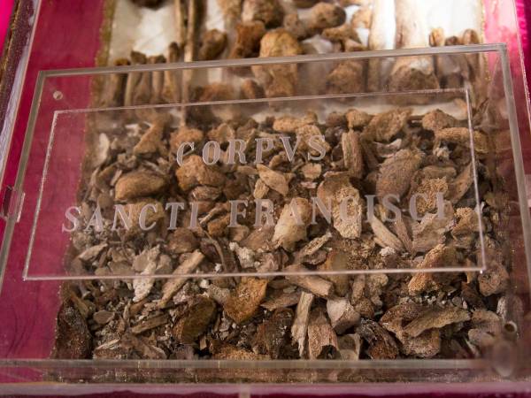 Ostensione del corpo di San Francesco per gli 800 anni dalla morte del Santo