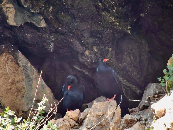 Oggi Anversa e la “Riserva e Oasi Gole del Sagittario” su “L’arca di Noè”
