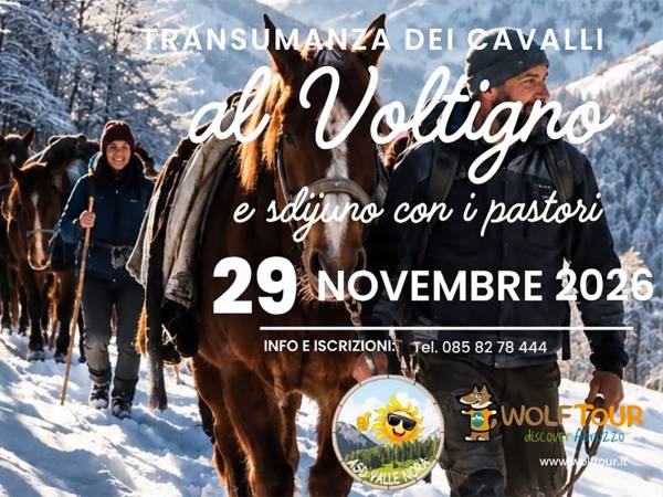 13ª EDIZIONE DELLA TRANSUMANZA DEI CAVALLI AL VOLTIGNO