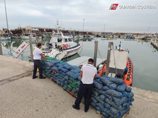 CONTROLLI SULLA FILIERA DELLA PESCA