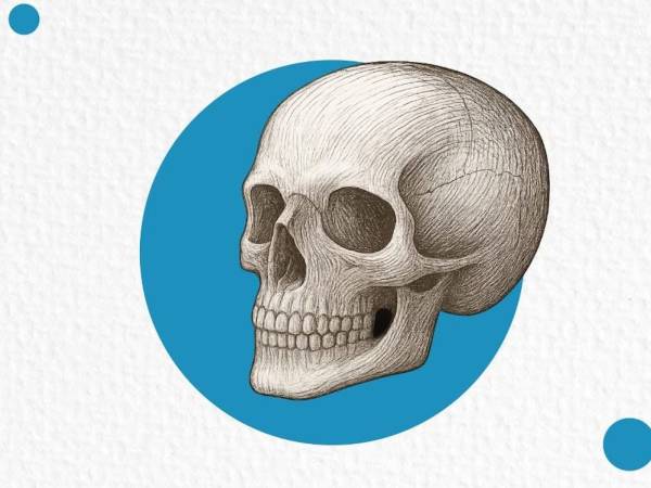 Shakespeare e l’universo dei classici, il nuovo corso della Scuola Macondo