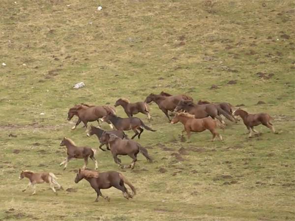 Demonticare nel XXI secolo da Campo Imperatore all'Aquila a piedi, come una volta