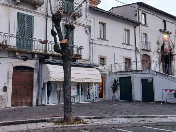   ALBERI VIOLENTATI: A SULMONA TUTTO COME PRIMA