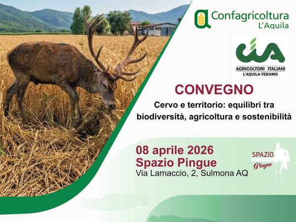 Il cervo in Abruzzo: operazione verità 