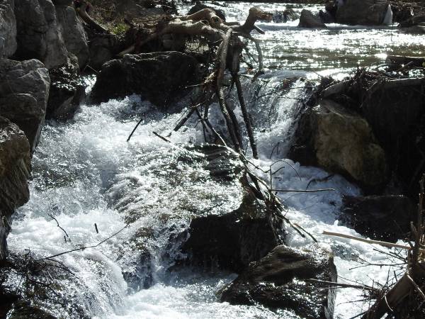 SI È CELEBRATA IERI LA GIORNATA MONDIALE DELL’ACQUA