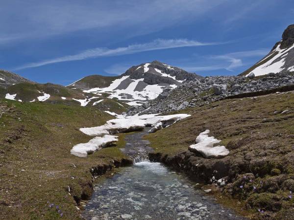 IL TAR LAZIO DÀ IL VIA LIBERA ALL’APPROVAZIONE DEL PIANO DEL PARCO