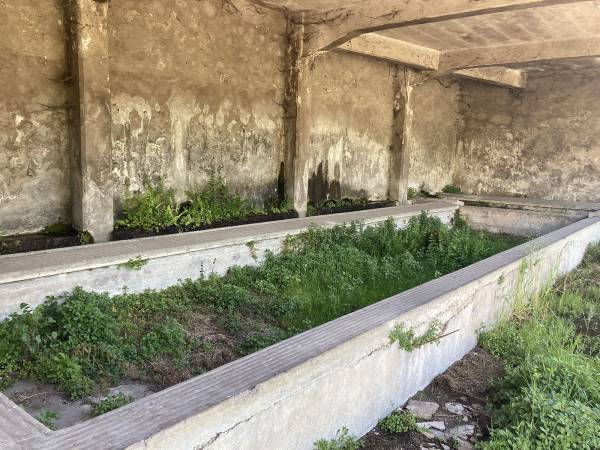 La Sulmona bistrattata e dimenticata