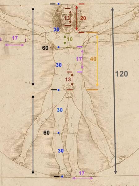 L’Uomo Vitruviano di Leonardo da Vinci - Il corpo umano come misura del mondo