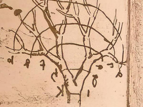 L’Uomo Vitruviano di Leonardo da Vinci - Il corpo umano come misura del mondo