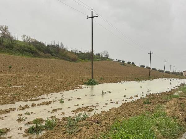 Agricoltura a rischio collasso tra maltempo, gelate e allagamenti