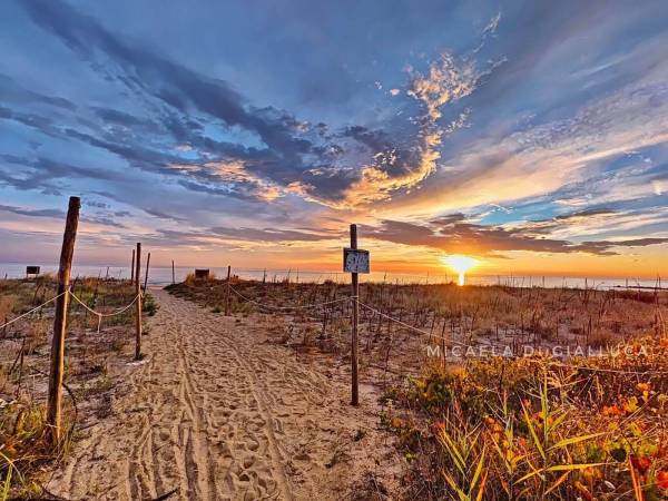 Prima importante vittoria per la collettività: riparte la tutela delle dune della Riserva