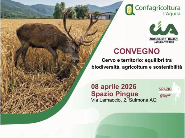 Cervi fuori controllo in Abruzzo