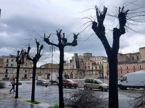 PIAZZA  PULITA A SULMONA