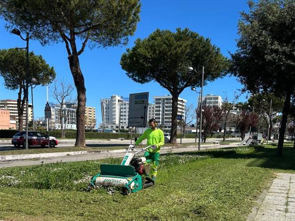 Montesilvano: al via il piano di manutenzione del verde pubblico