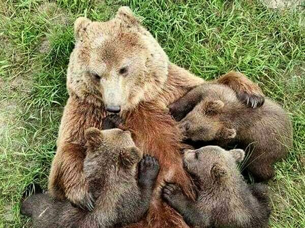 UN ABBRACCIO A TUTTE LE MAMME DEL MONDO