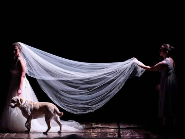 "INVISIBILE": allo Zambra l'emozionante fuori programma che chiude la stagione teatrale
