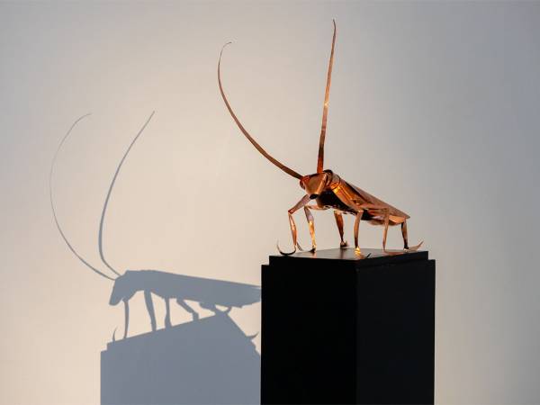 ARTEPARCO 2026<br>Hilario Isola è l’artista della nona edizione