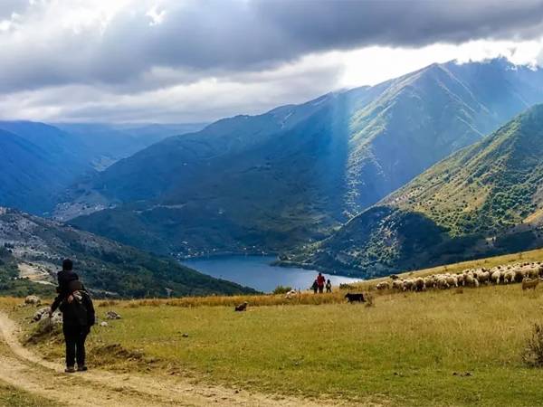 In Abruzzo c'è un agriturismo dove puoi adottare una pecora e mangiare i formaggi dei pastori