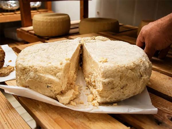 In Abruzzo c'è un agriturismo dove puoi adottare una pecora e mangiare i formaggi dei pastori