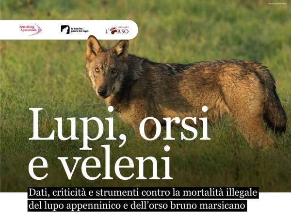LUPI, ORSI E VELENI: ALLA CAMERA L’APPELLO DI SCIENZIATI, ISTITUZIONI E ASSOCIAZIONI