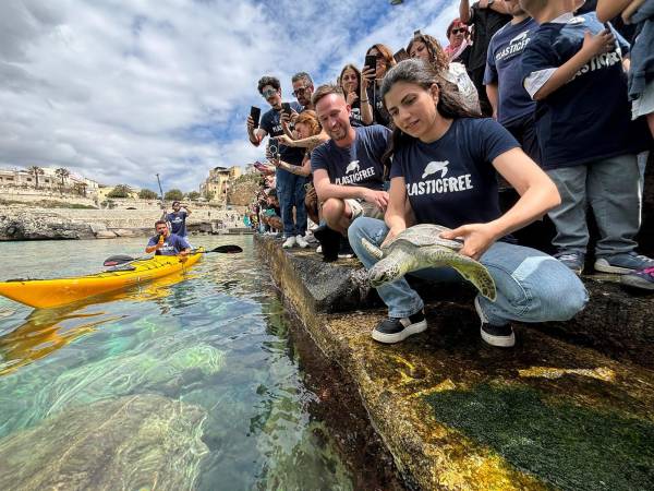 Il 14 giugno Plastic Free promuove liberazioni di tartarughe marine in contemporanea in tutta Italia