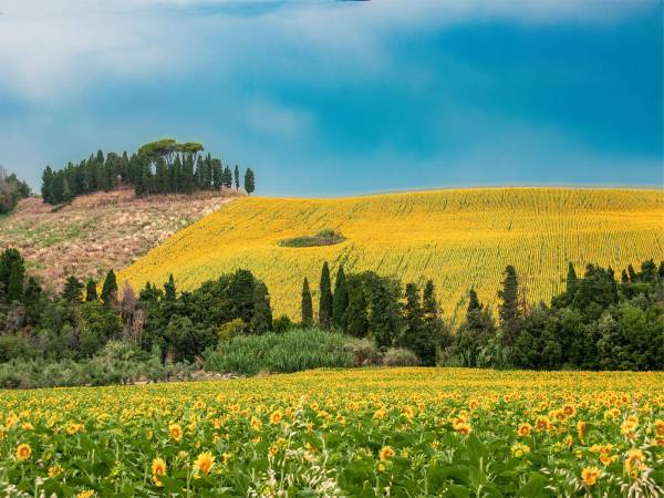 RISERVA BORSACCHIO: IL TAR RINVIA LA DECISIONE AL 2027<br>ORA LA PALLA TORNA ALLA REGIONE ABRUZZO