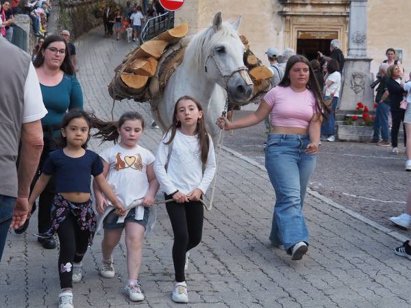 E VENNE IL GIORNO DEI CAVALLI E DEI MULI 