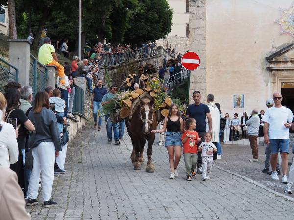 E VENNE IL GIORNO DEI CAVALLI E DEI MULI 