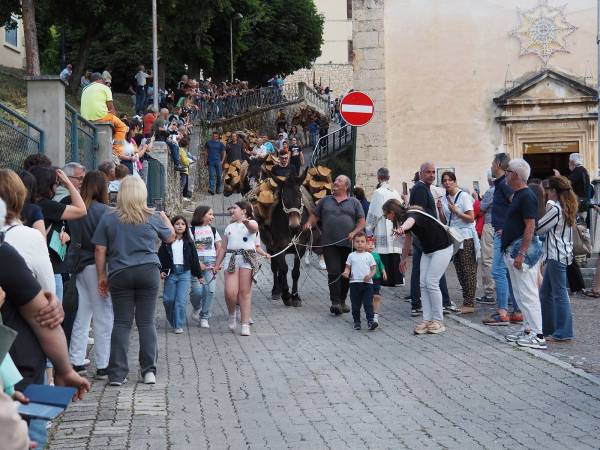 E VENNE IL GIORNO DEI CAVALLI E DEI MULI 