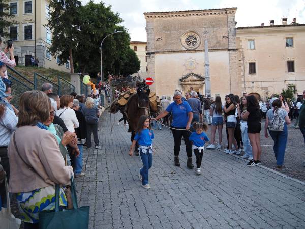 E VENNE IL GIORNO DEI CAVALLI E DEI MULI 
