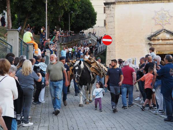 E VENNE IL GIORNO DEI CAVALLI E DEI MULI 