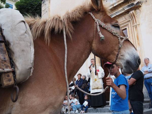 E VENNE IL GIORNO DEI CAVALLI E DEI MULI 