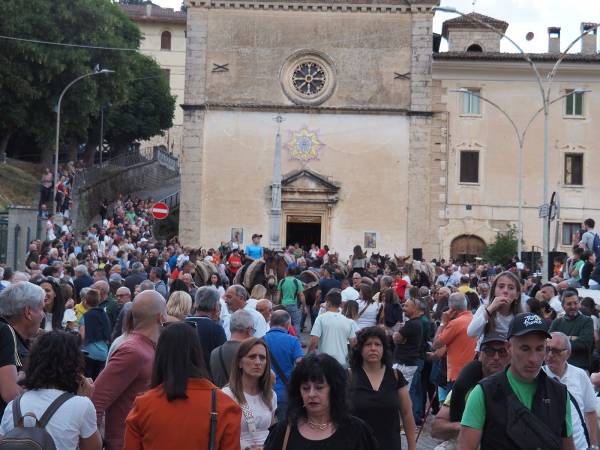 E VENNE IL GIORNO DEI CAVALLI E DEI MULI 