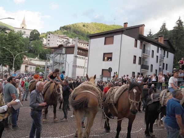 E VENNE IL GIORNO DEI CAVALLI E DEI MULI 