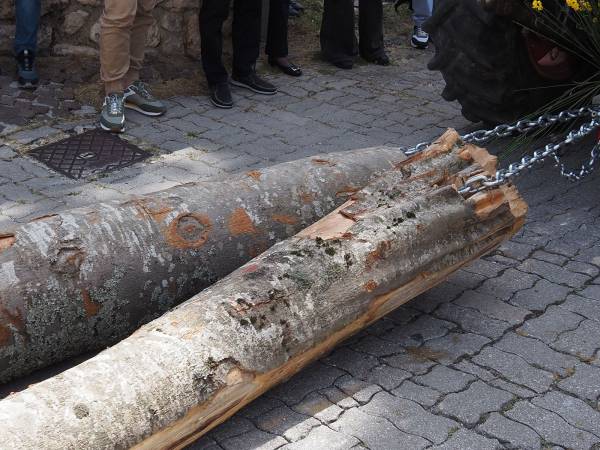 Dopo i muli e i cavalli, i bambini con i cestini di pagnottelle e i mezzi agricoli con travi di legno
