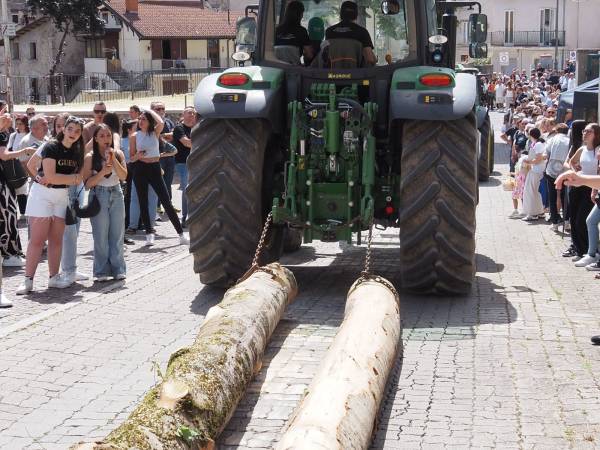 Dopo i muli e i cavalli, i bambini con i cestini di pagnottelle e i mezzi agricoli con travi di legno
