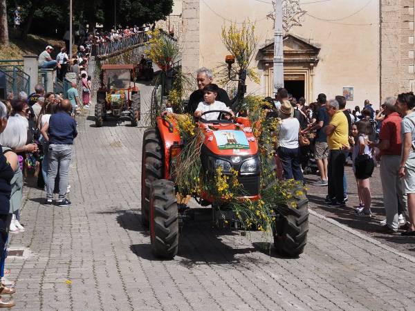 Dopo i muli e i cavalli, i bambini con i cestini di pagnottelle e i mezzi agricoli con travi di legno