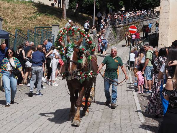 Dopo i muli e i cavalli, i bambini con i cestini di pagnottelle e i mezzi agricoli con travi di legno