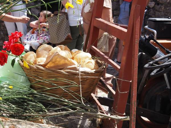 Dopo i muli e i cavalli, i bambini con i cestini di pagnottelle e i mezzi agricoli con travi di legno