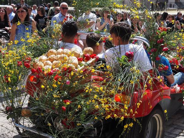Dopo i muli e i cavalli, i bambini con i cestini di pagnottelle e i mezzi agricoli con travi di legno
