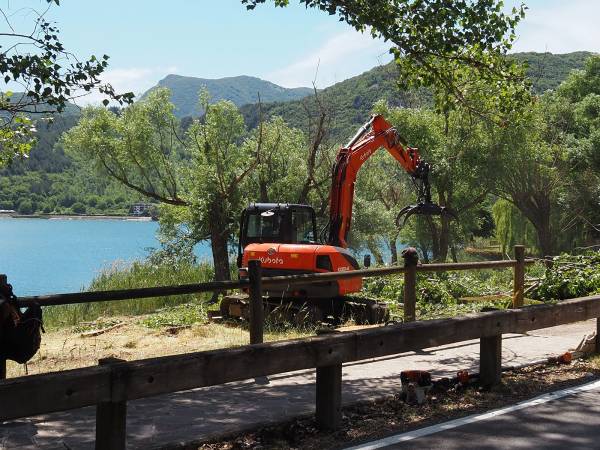 Alla spiaggetta di Villalago Riviera tagliate le piante pericolanti