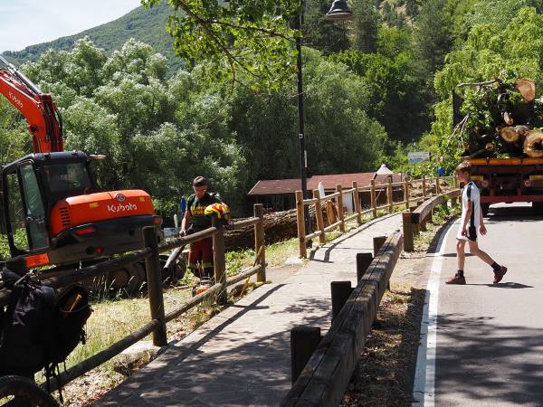 Alla spiaggetta di Villalago Riviera tagliate le piante pericolanti