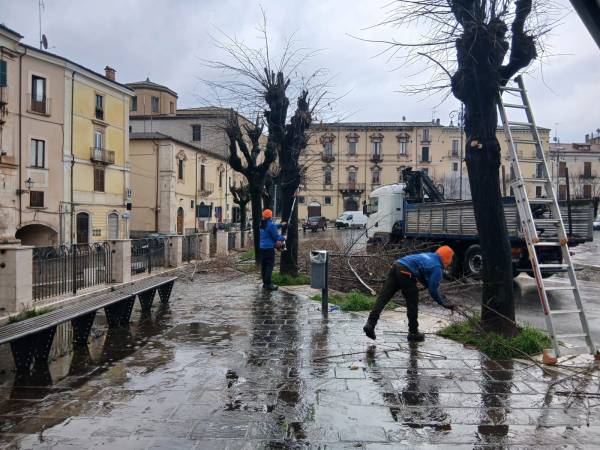 ALBERI E  CALDO ESTREMO: SE ASPETTIAMO IL COMUNE DI SULMONA STIAMO… FRESCHI!