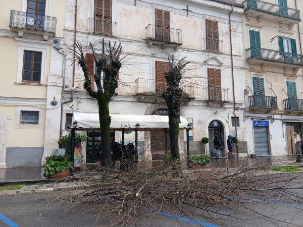 ALBERI E  CALDO ESTREMO: SE ASPETTIAMO IL COMUNE DI SULMONA STIAMO… FRESCHI!