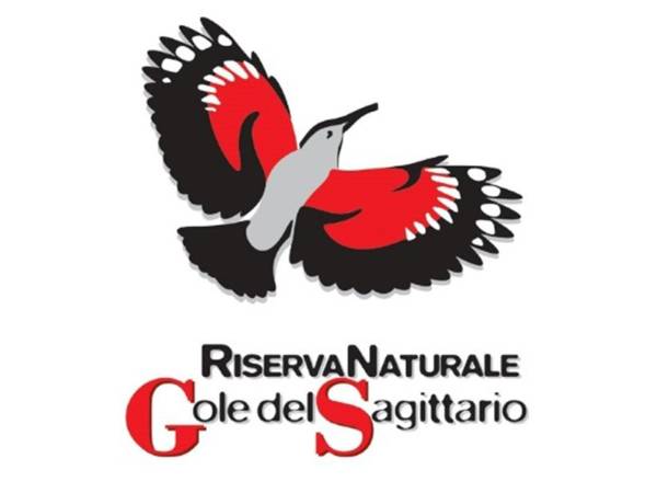 "Bombe di Silva, esplosione di Vita verde": ad Anversa degli Abruzzi il primo evento pubblico della neonata Associazione Silva APS.