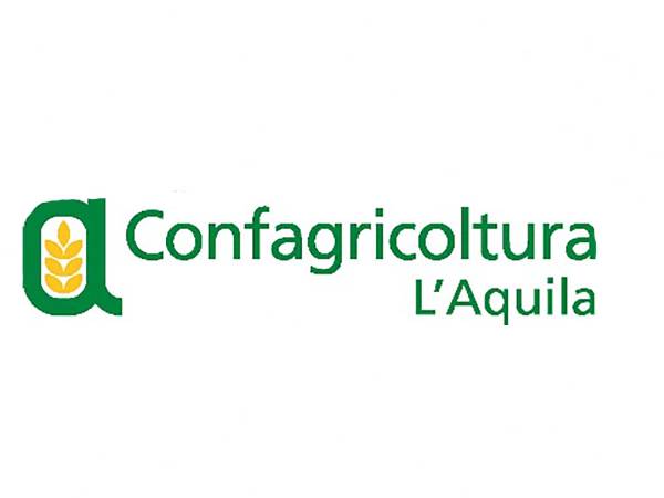 Tra attacchi mediatici e responsabilità sindacale, Confagricoltura L’Aquila difende il Fucino