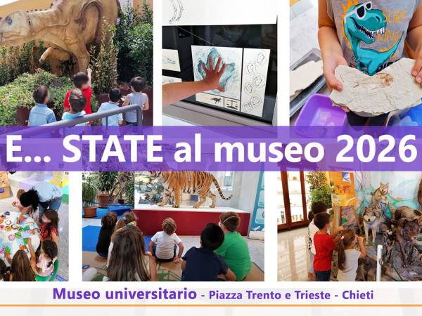 Al Museo universitario torna "E…STATE al Museo 2026" 