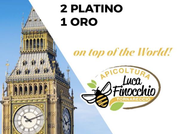 Luca Finocchio vince il Mondiale del miele
