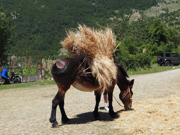Profumi, sapori e socialità: il successo di "De Rerum Natura" a Frattura Vecchia