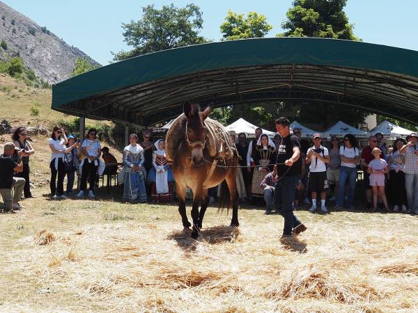 Profumi, sapori e socialità: il successo di "De Rerum Natura" a Frattura Vecchia